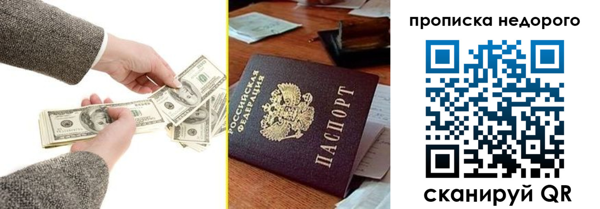 прописка для работы в Кингисеппе